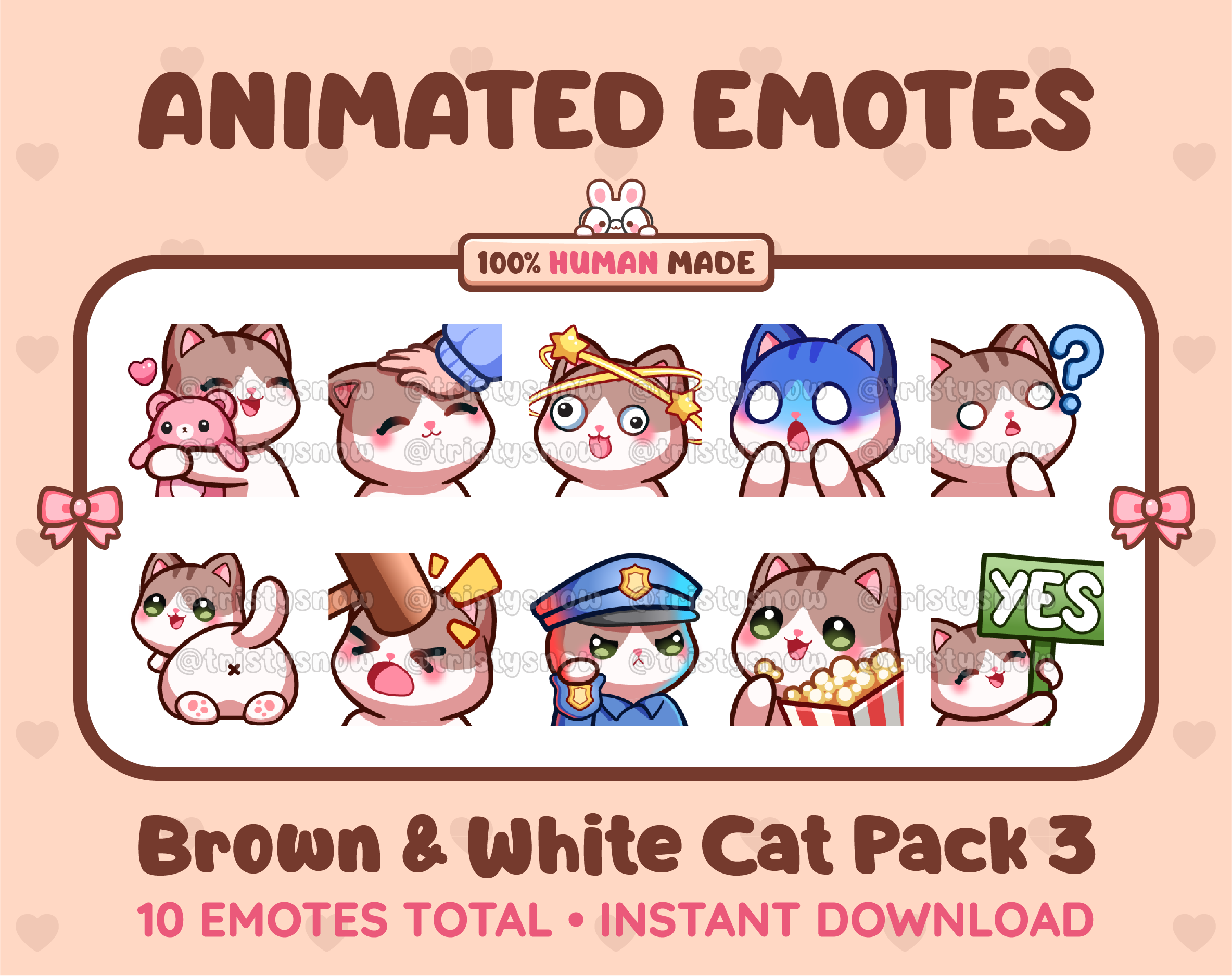 Brown & White Cat animated Twitch emote pack featuring 10 emotes including hug, scared, bonk, and popcorn.