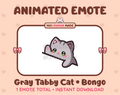 Gray Tabby Cat emote preview displaying a cute gray tabby cat bongo emote.