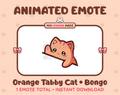 Orange Tabby Cat emote preview displaying a cute orange tabby cat bongo emote.