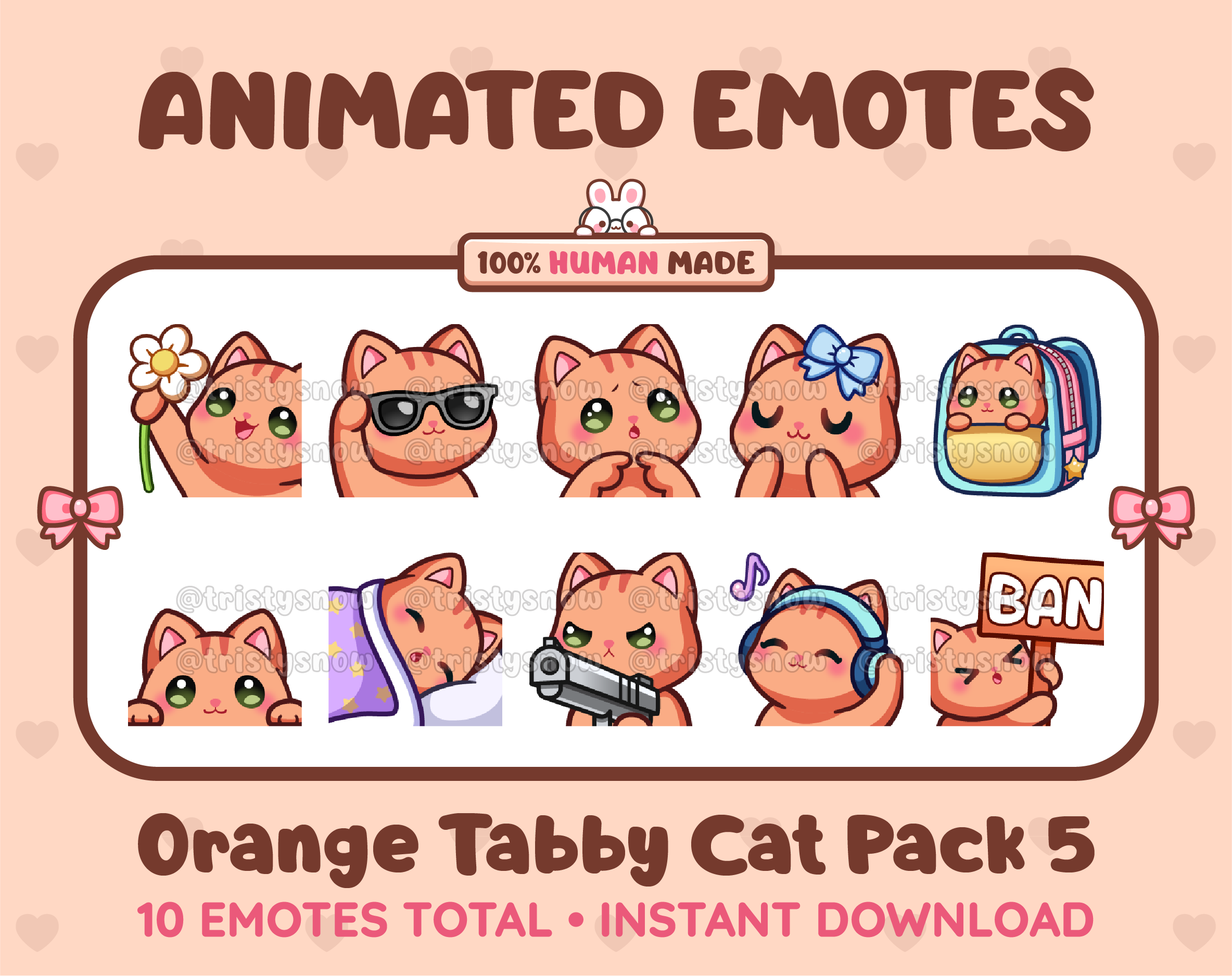Orange Tabby Cat animated Twitch emote pack featuring 10 emotes including flower, cool, plead, and lurk.