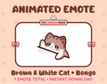 Brown & White Cat emote preview displaying a cute brown & white cat bongo emote.